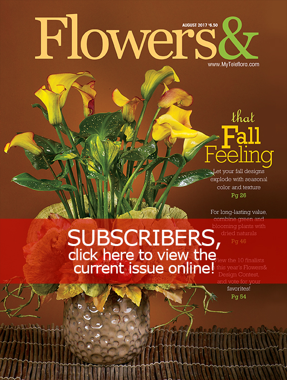 Take inspiration from three design stories, each with a different