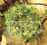 color emotion earthy