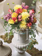 color emotion energetic