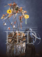 color emotion subdued