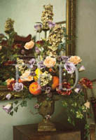 color emotion traditional