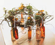 color emotion trendy