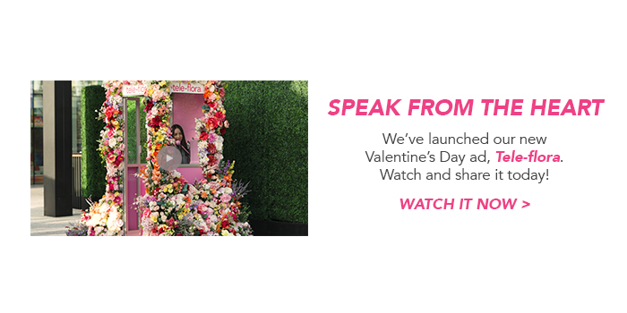 VDay Consumer Campaign