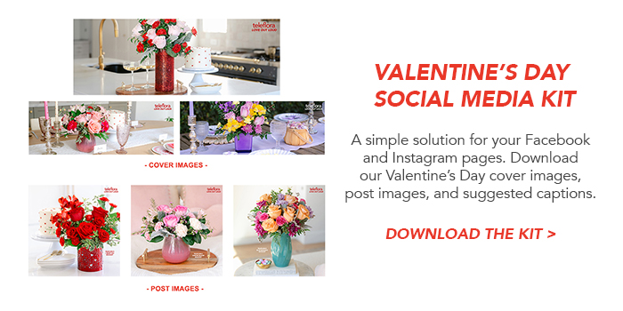 VDay Social Media Kit