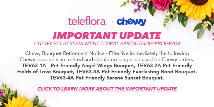 Chewy Update